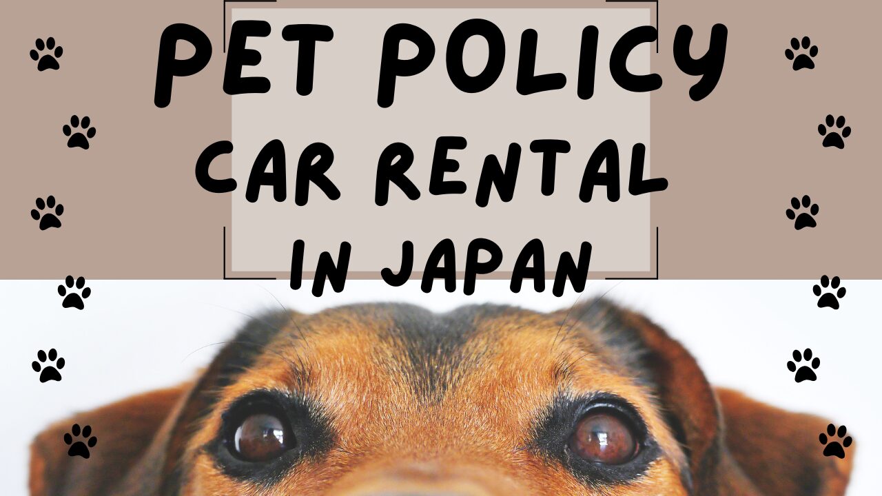 Pet Policy | Car Rental in Japan